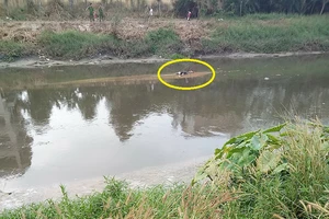 Nam thanh niên tử vong sau vụ trộm bất thành