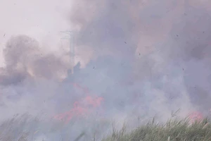 Đám cháy dữ dội ngay dưới đường điện cao thế TP.HCM