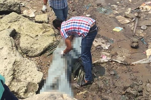 Tìm thấy thi thể thanh niên nghi nhảy cầu Phú Mỹ