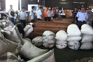 Gần 4 tấn nghi vảy tê tê cập cảng Cát Lái