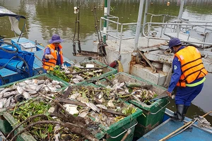 Cá chết cùng rác thải nổi trắng kênh Nhiêu Lộc - Thị Nghè