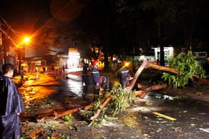 Cảnh sát PCCC xử lý hiện trường cây đổ kéo cột điện ở Thủ Đức