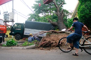 Sập mái nhà, đổ cây, cột điện... sau trận lốc ở Gò Vấp