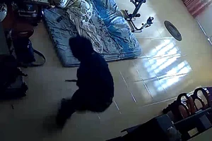 Trộm cầm hung khí lục tung ngôi nhà tìm tài sản ở quận 9