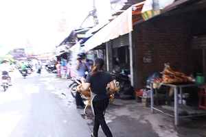 Bị kiểm tra, tiểu thương ôm thịt chó tháo chạy