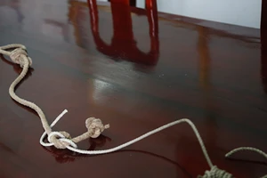 Điều tra vụ trộm, phát hiện vụ giết người ở Bình Chánh