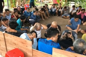 Cảnh sát vây trường gà ở Tân Phú, bắt giữ 72 con bạc 