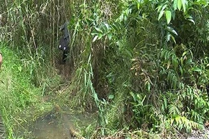 Đang rình cô gái đi vệ sinh thì bị phát hiện