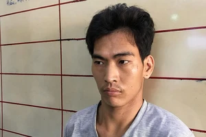 2 bé gái bị dâm ô và hiếp dâm ở công viên tại TP.HCM