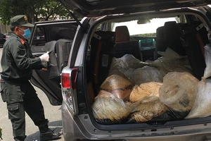 Đường dây ma túy Kentamin 500 tỉ đồng đã bị bắt như thế nào?