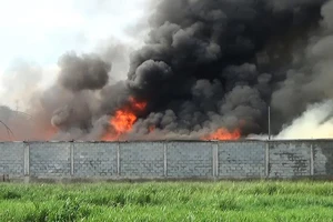 Cảnh sát đục tường dập biển lửa kho nệm mút ở Hóc Môn