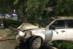 Ô tô mất lái cán hàng loạt cây xanh ở Bình Thạnh