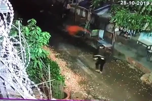 Gia đình cụ bà ở quận 12 nhiều lần bị tạt sơn, khủng bố