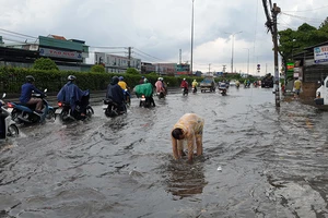 Mưa lớn, đường ngập, người dân hối hả đi móc cống
