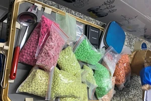 Công an TP.HCM bắt giữ gần 1 tạ ma túy từ Campuchia