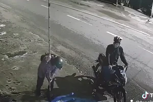 Củ Chi: Camera ghi cảnh kẻ trộm chó Pitbull gần 40 kg