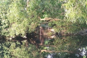 Bình Tân: Người đàn ông chết trong tư thế treo cổ ở lùm cây