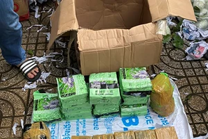 Thu gần 50 kg ma túy trong nhà của nhóm tội phạm ở Gò Vấp