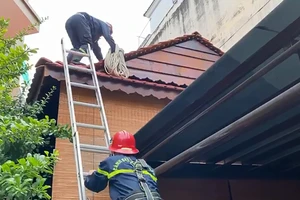 Cảnh sát bắc thang giải cứu người đàn ông rơi trúng mái nhà