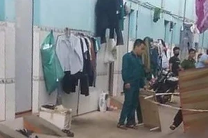 Đâm chết em rể vì để vợ đang mang bầu phải lao động vất vả