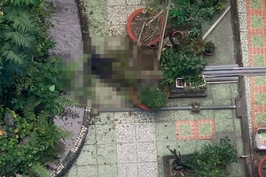 1 người rơi lầu ở Trường ĐH Ngoại ngữ - Tin học TP.HCM