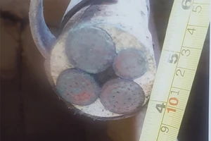 Trộm gần 900 m cáp ngầm giá hơn 3 tỉ ở Cảng Nhà Rồng