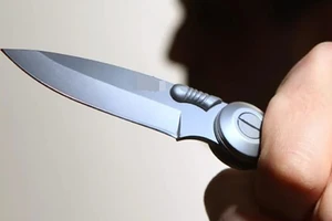 Cướp xe, cầm dao kề cổ trẻ em, đâm người giải cứu