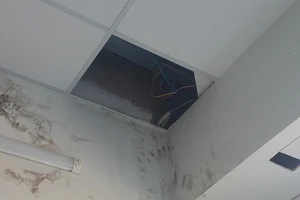 Trộm đục mái cửa hàng Điện Máy Xanh trộm điện thoại 