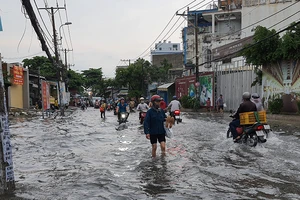 Mưa lớn, đường ngập, cây ngã khắp nơi ở TP.HCM