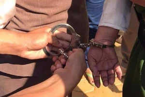 Truy tố Giám đốc Công ty TNHH TMDV xuất nhập khẩu Hajime