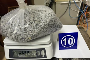 36 kg thuốc lắc, cần sa và ketamine trong lô hàng quà biếu