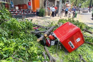 Quận 3: Cành cây to rơi trúng xe máy trên đường Võ Văn Tần