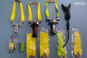 Rảnh giữa mùa dịch, mua ná bắn thủng kính nhà hàng xóm