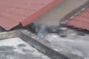Phát hiện 1 thi thể bị phân hủy chỉ còn xương trên mái nhà ở Bình Chánh