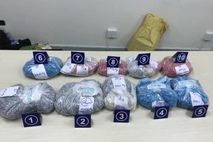 TP.HCM: Bắt hơn 30kg ma túy ngụy trang trong bánh kẹo, quà biếu