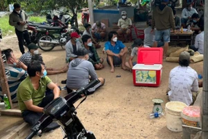 Hàng chục người tụ tập đá gà ở Hóc Môn tá hỏa khi thấy công an