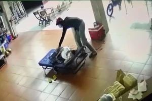 Bắt giữ siêu trộm ở quận Bình Tân, Tân Phú 