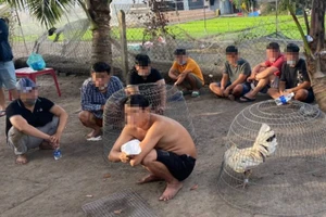 Công an đột kích sới gà vùng ven ngày đầu năm mới