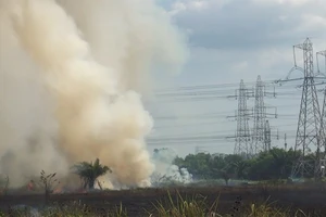 Bãi cỏ hàng ngàn mét vuông ở quận Bình Tân lại cháy đầu năm