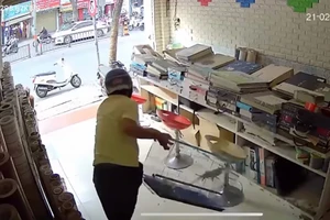 Xông vào nhà trộm vẹt trong nháy mắt ở trung tâm TP.HCM