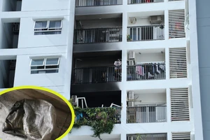 Nhân chứng: Thấy 2 mẹ con rơi lầu trong vụ cháy nhưng không làm gì được