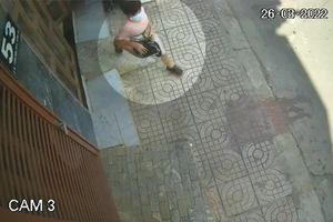 Bé trai lấy trộm túi xách chứa hàng chục triệu rồi vứt lại giấy tờ