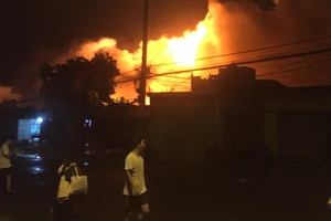 Xưởng hóa chất cháy 4 ngày chưa tắt, dân di tản, vật nuôi chết