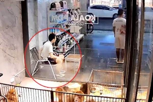 Nhân viên mất điện thoại 3 triệu, chủ tiệm treo thưởng 5 triệu để tìm