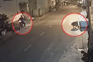 Ô tô 700 triệu để ngoài đường, bị bẻ gương trong mấy giây