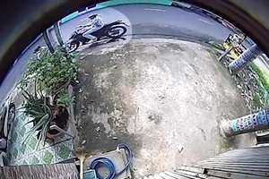 Bị giật dây chuyền hơn 10 triệu khi đứng coi cây ổi bên đường