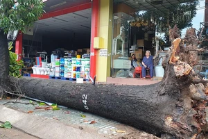 Mưa gió lớn, cây ngã la liệt, đường ngập, kẹt xe…