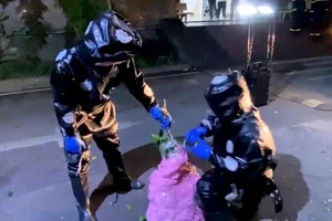 Cảnh sát huy động xe thang bắt tổ ong dài 1 mét ở chung cư ngàn dân