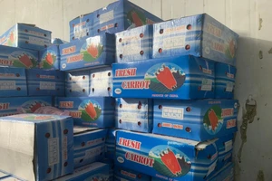 Phát hiện hơn 11 tấn rau củ trong bao bì chữ Trung Quốc lậu ở Chợ Bình Điền