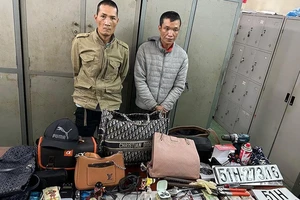 Nhóm trộm lái ô tô chuyên đột nhập biệt thự từ Nghệ An vào TP.HCM